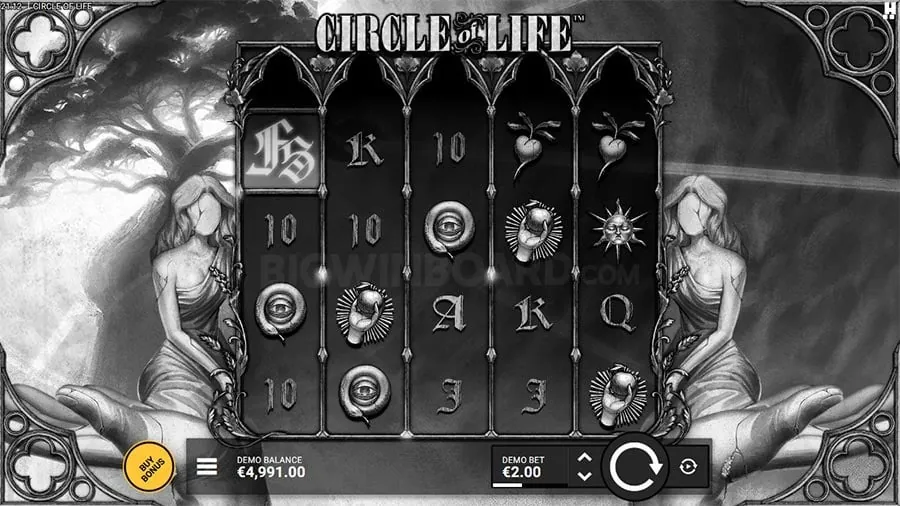 Beginner's Guide to Live Casino